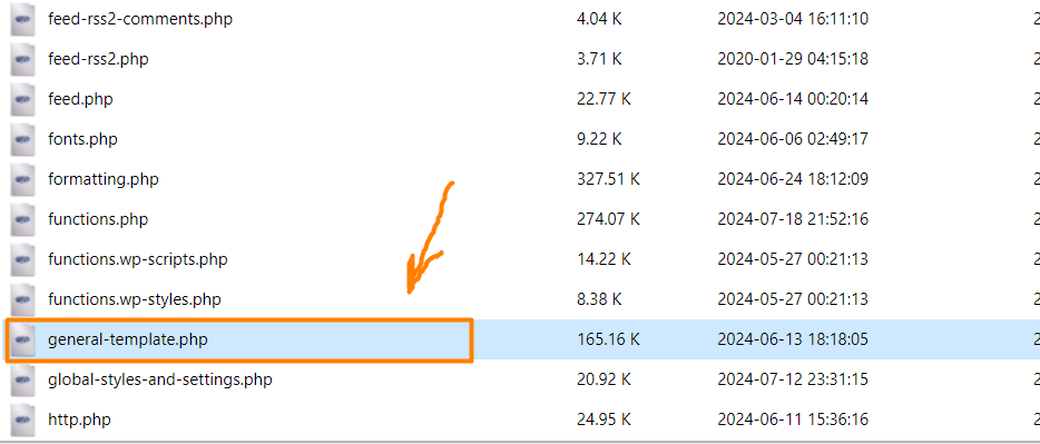 فایل general-template.php