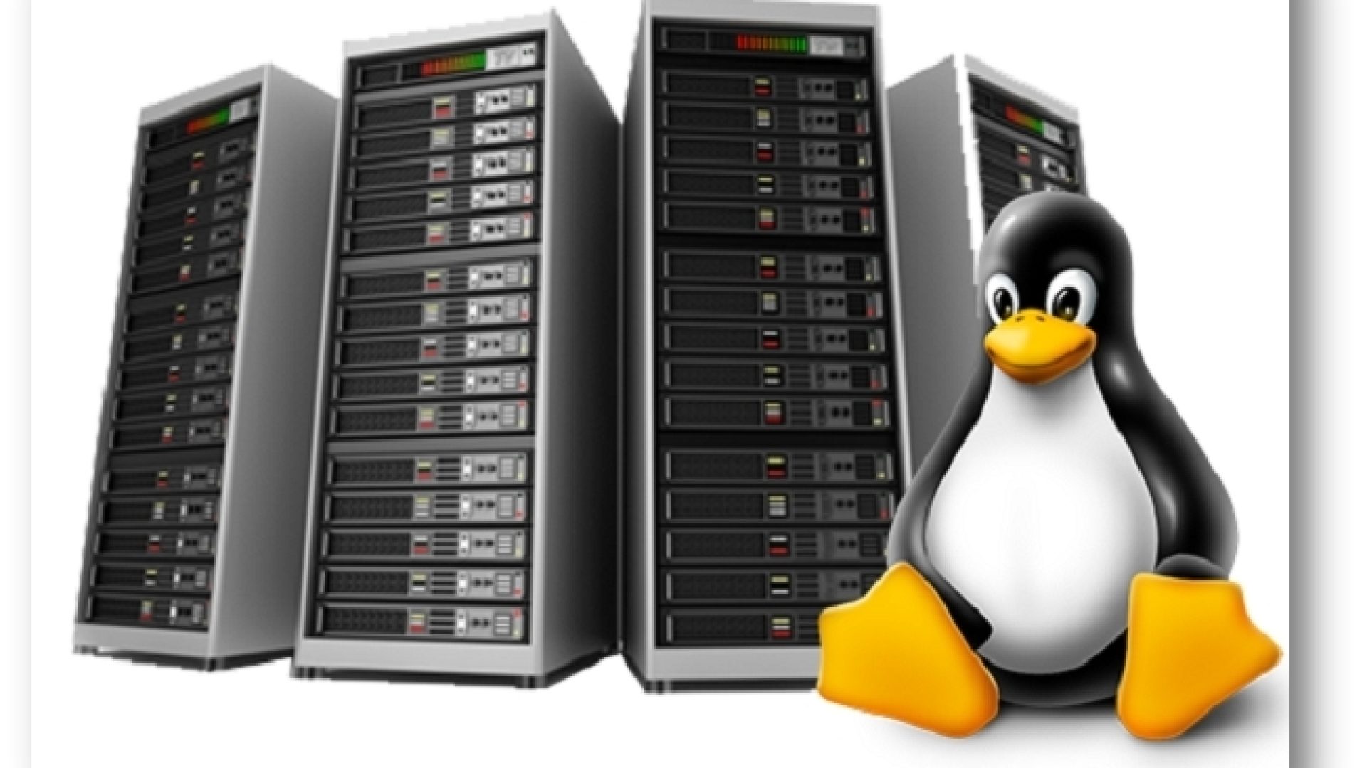 انواع هاست لینوکس: راهنمایی جامع برای انتخاب مناسب انواع هاست لینوکس: راهنمایی جامع برای انتخاب مناسب