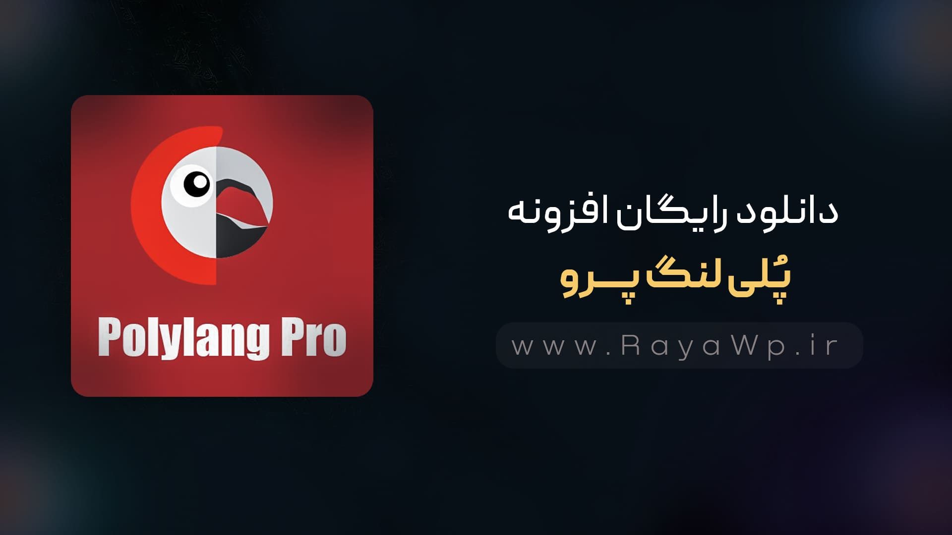 دانلود رایگان افزونه Polylang Pro، ترجمه خودکار وردپرس – رایا وردپرس دانلود رایگان افزونه Polylang Pro، ترجمه خودکار وردپرس - رایا وردپرس